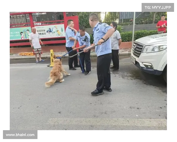 上海“关门打狗”事件震动金融外包行业,发改委已介入关注(上海打狗队热线2019) 上海“关门打狗”事件震动金融外包行业,发改委已介入关注(上海打狗队热线2019)